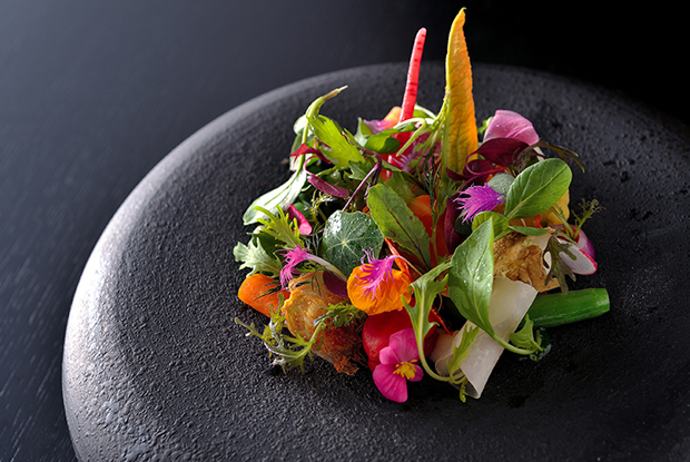 LucaFantin-ASIA-2018-DISH2